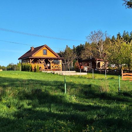 Domek Nad Stawem Bory Tucholskie Swiekatowo Buitenkant foto