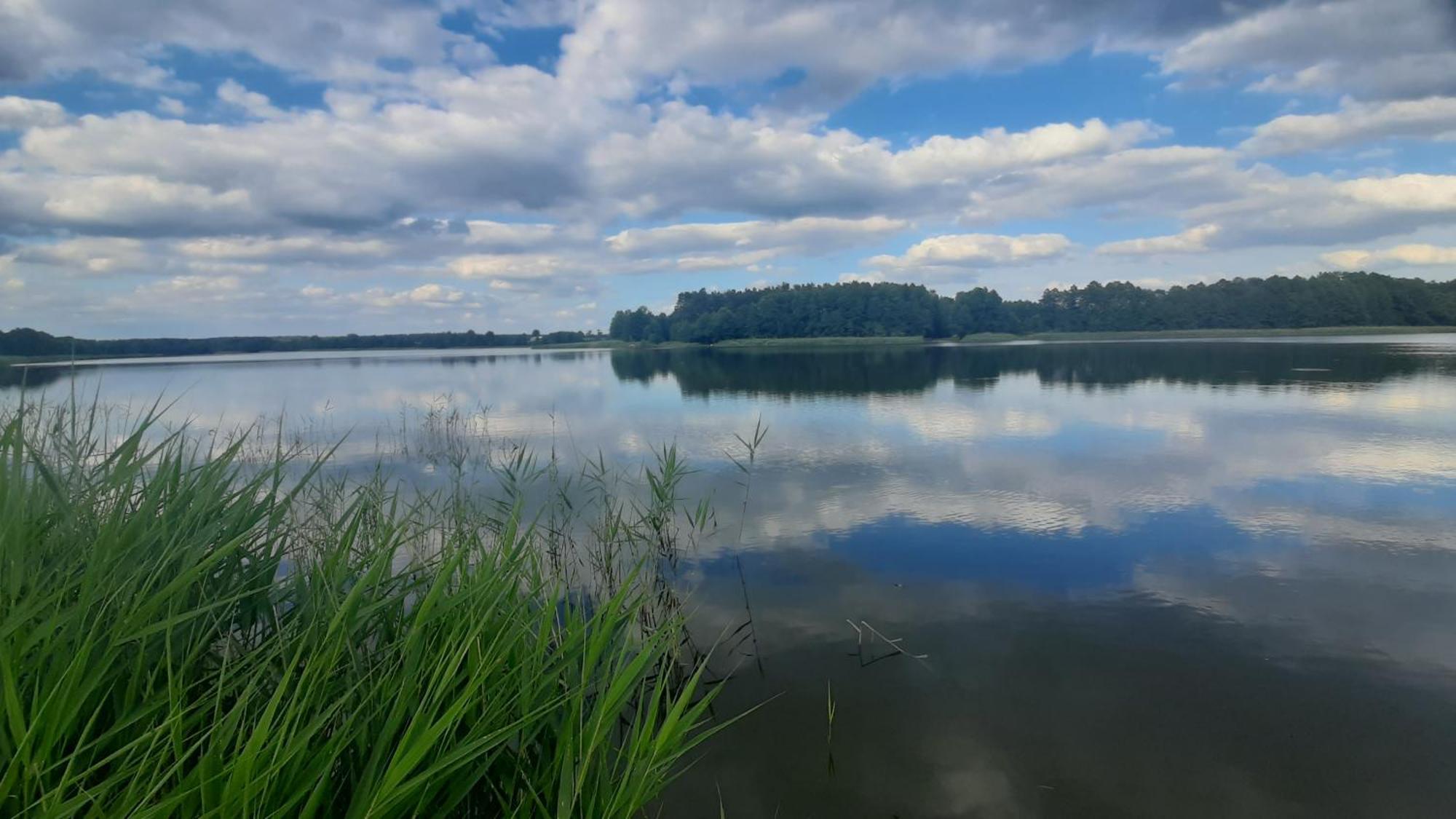 Domek Nad Stawem Bory Tucholskie Swiekatowo Buitenkant foto
